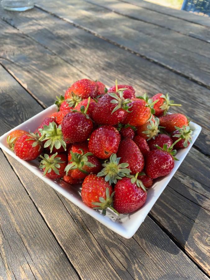Agriturismo Turudhis Tortolì المظهر الخارجي الصورة