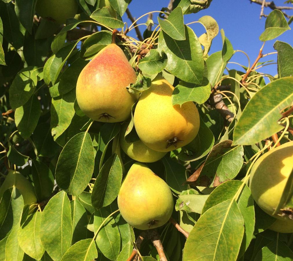 Agriturismo Turudhis Tortolì المظهر الخارجي الصورة