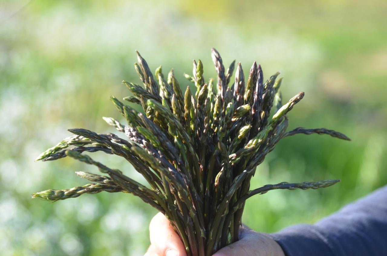 Agriturismo Turudhis Tortolì المظهر الخارجي الصورة